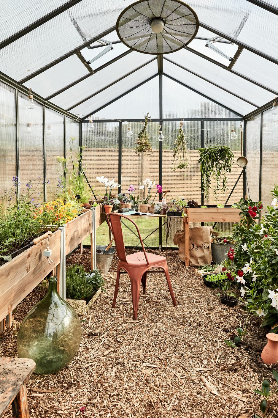photo de l'intérieur d'une serre