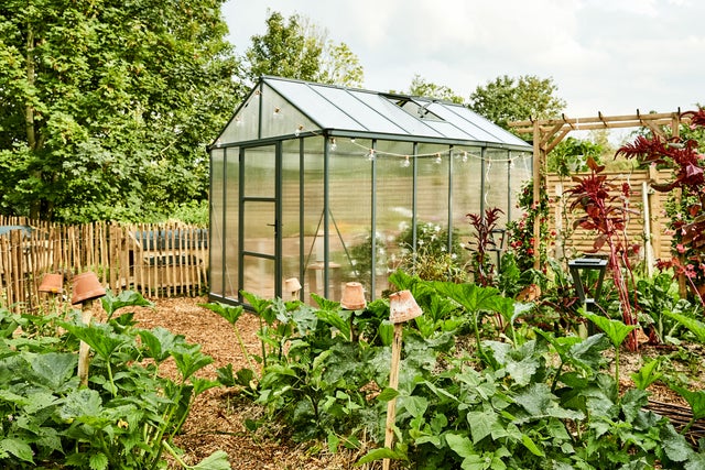 photo d'une serre dans un potager