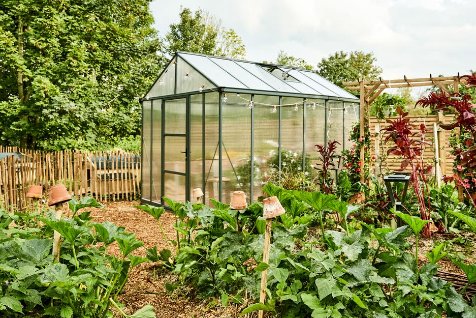 photo d'une serre dans un potager