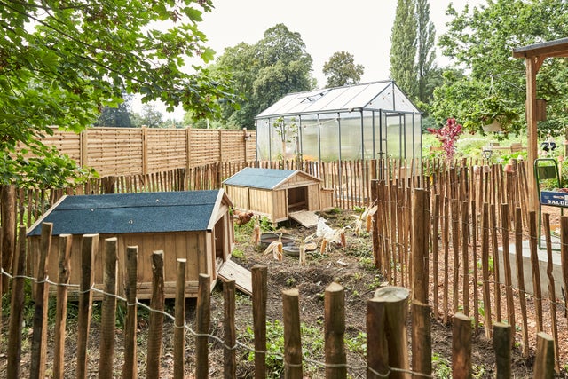 photo de poulaillers dans un jardin responsable