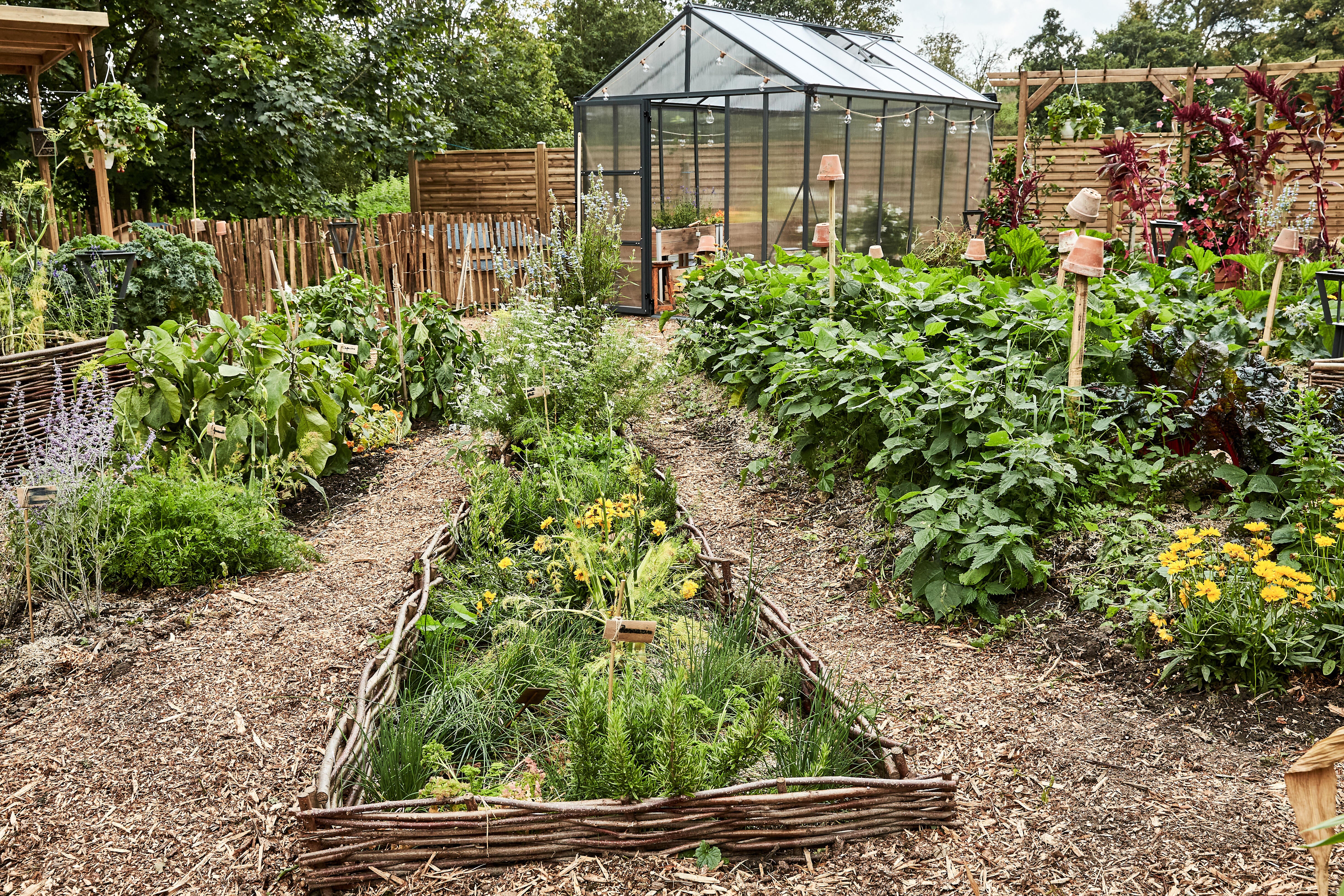 Jardinage. Juin : voici ce que vous devez faire dans votre jardin