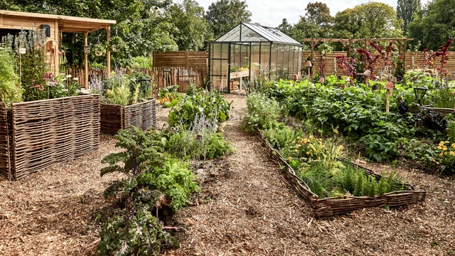 photo d'un potager responsable, avec vue sur la serre