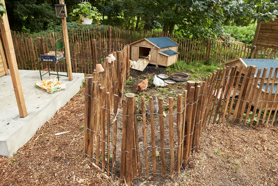 photo d'un enclos dans un jardin responsable 