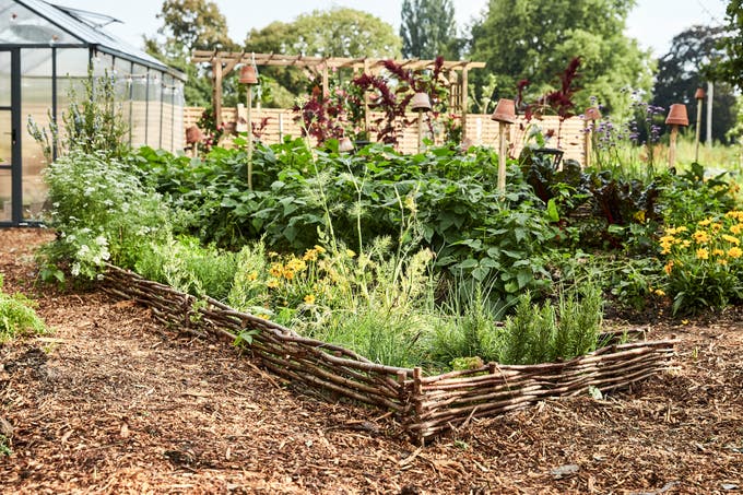 photo d'un carré de potager