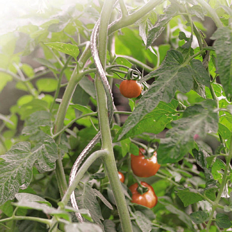 Tuteur tomate spirale NORTENE H.1.80 m - 10