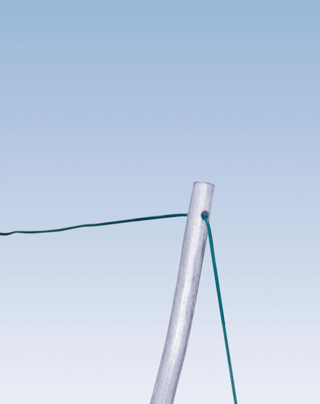 Tuteur tomate spirale NORTENE H.1.80 m - 9