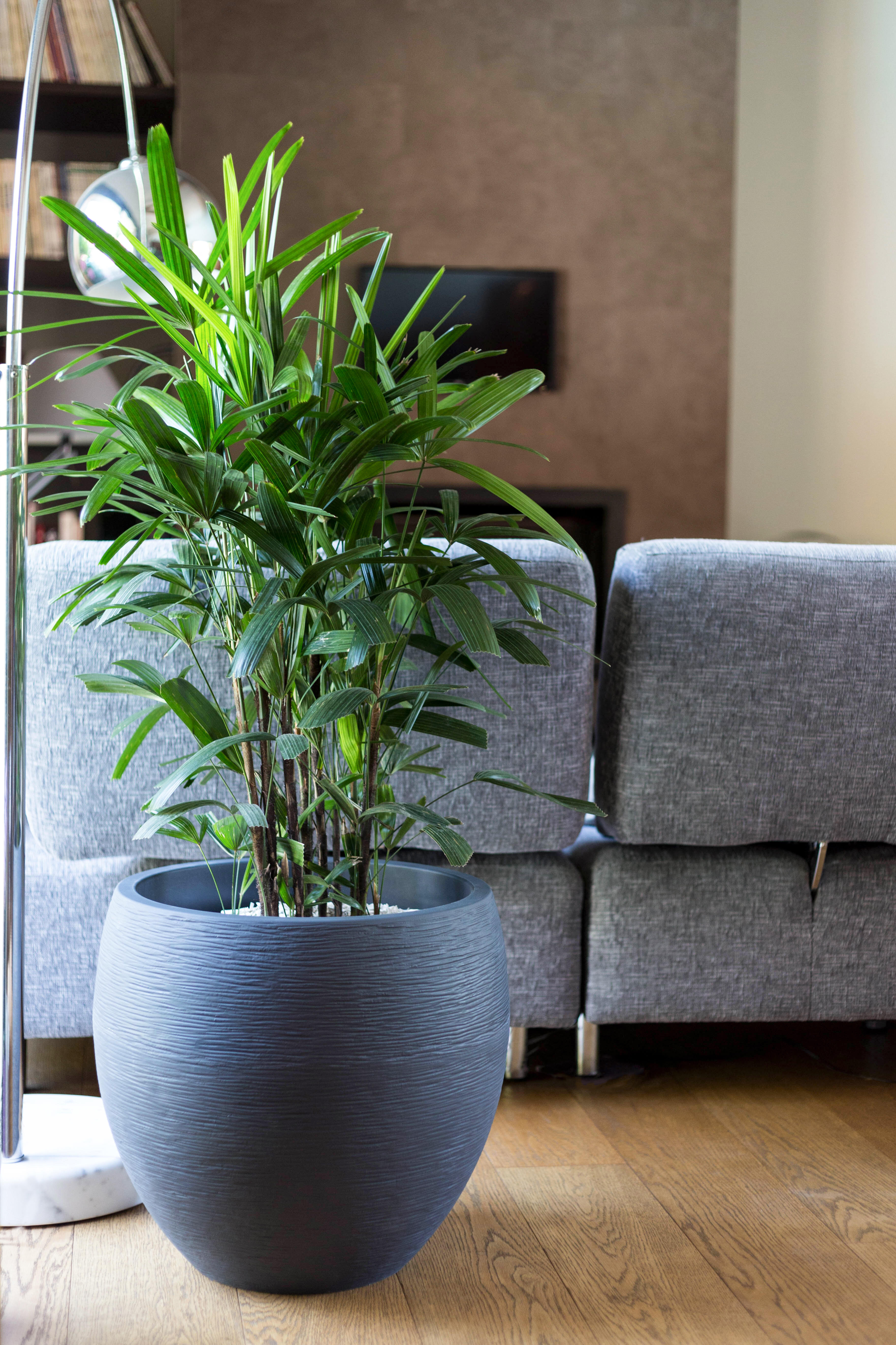 Pot plastique EDA Diam.50 x H.45 cm anthracite - 2