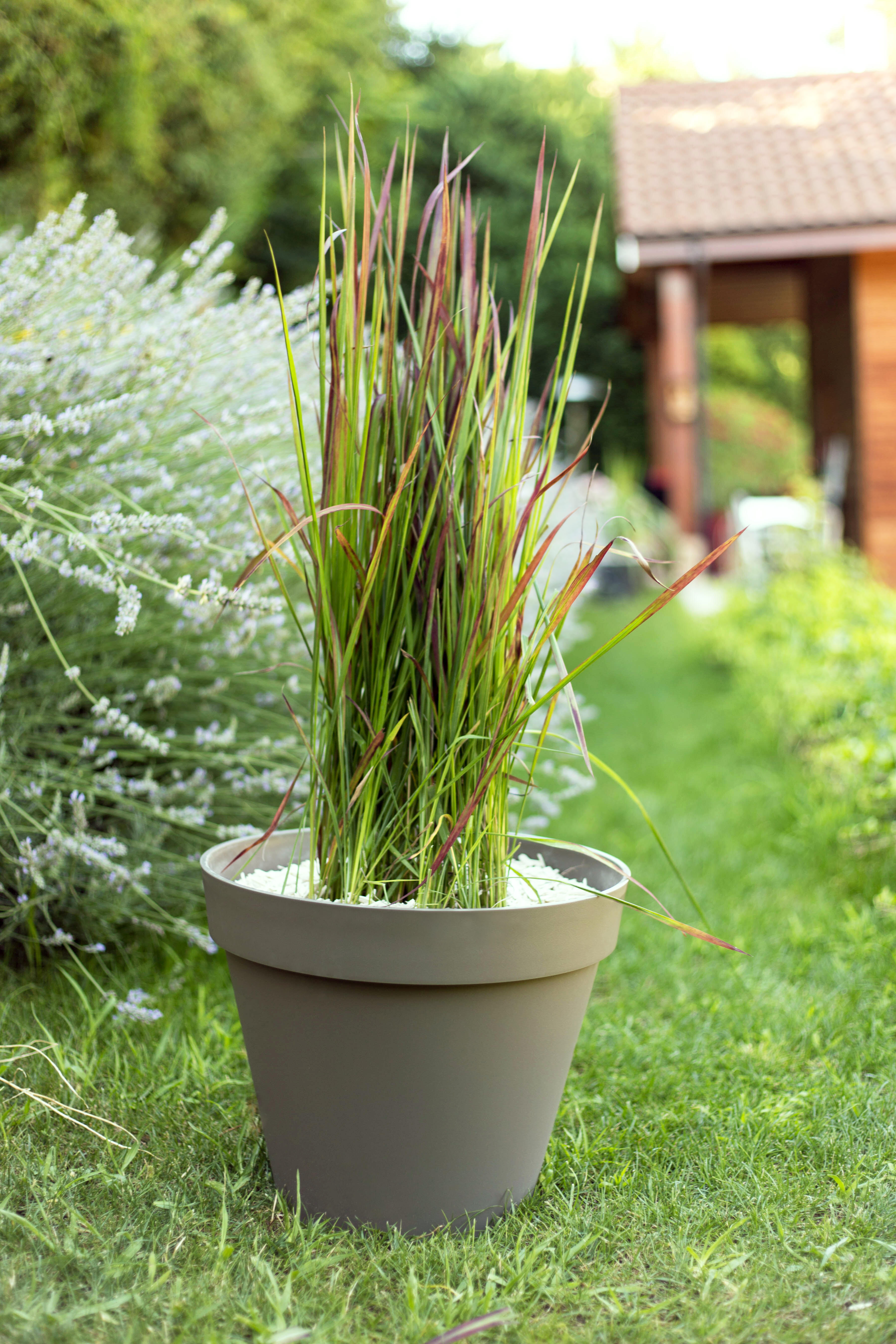 Pot plastique EDA Diam.30 x H.26 cm taupe - 2