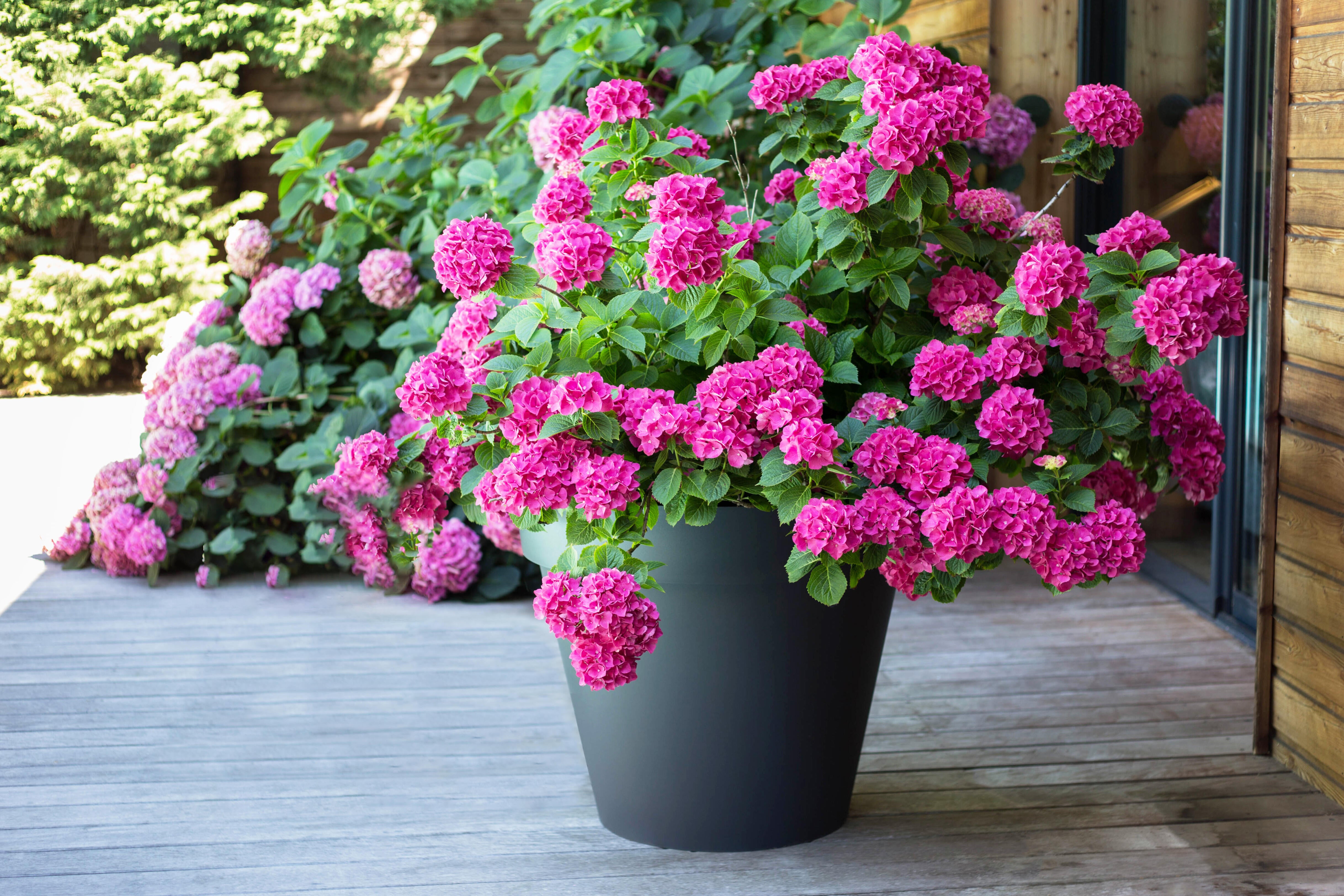 Pot plastique EDA Diam.60 x H.47 cm gris anthracite - 2