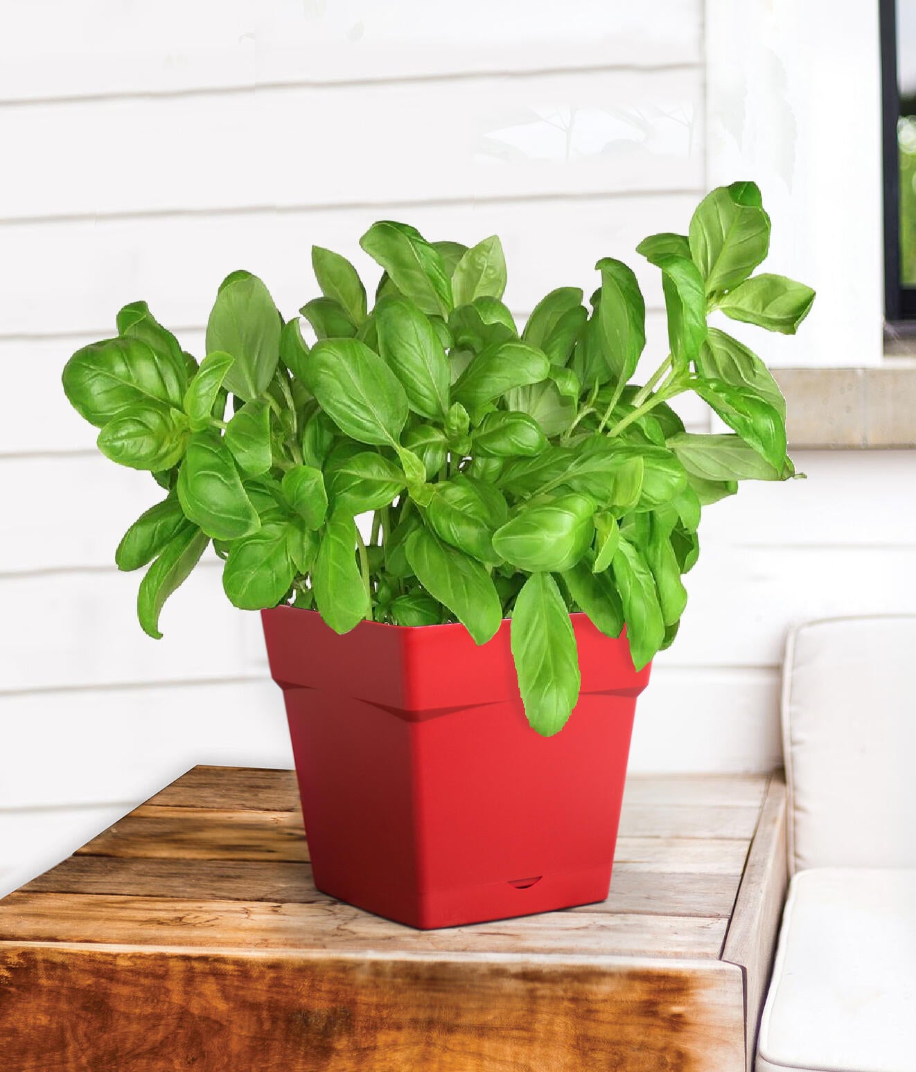 Pot de fleur carré EDA L. 24.8 x l. 24.8  x H.24 cm rouge - 2