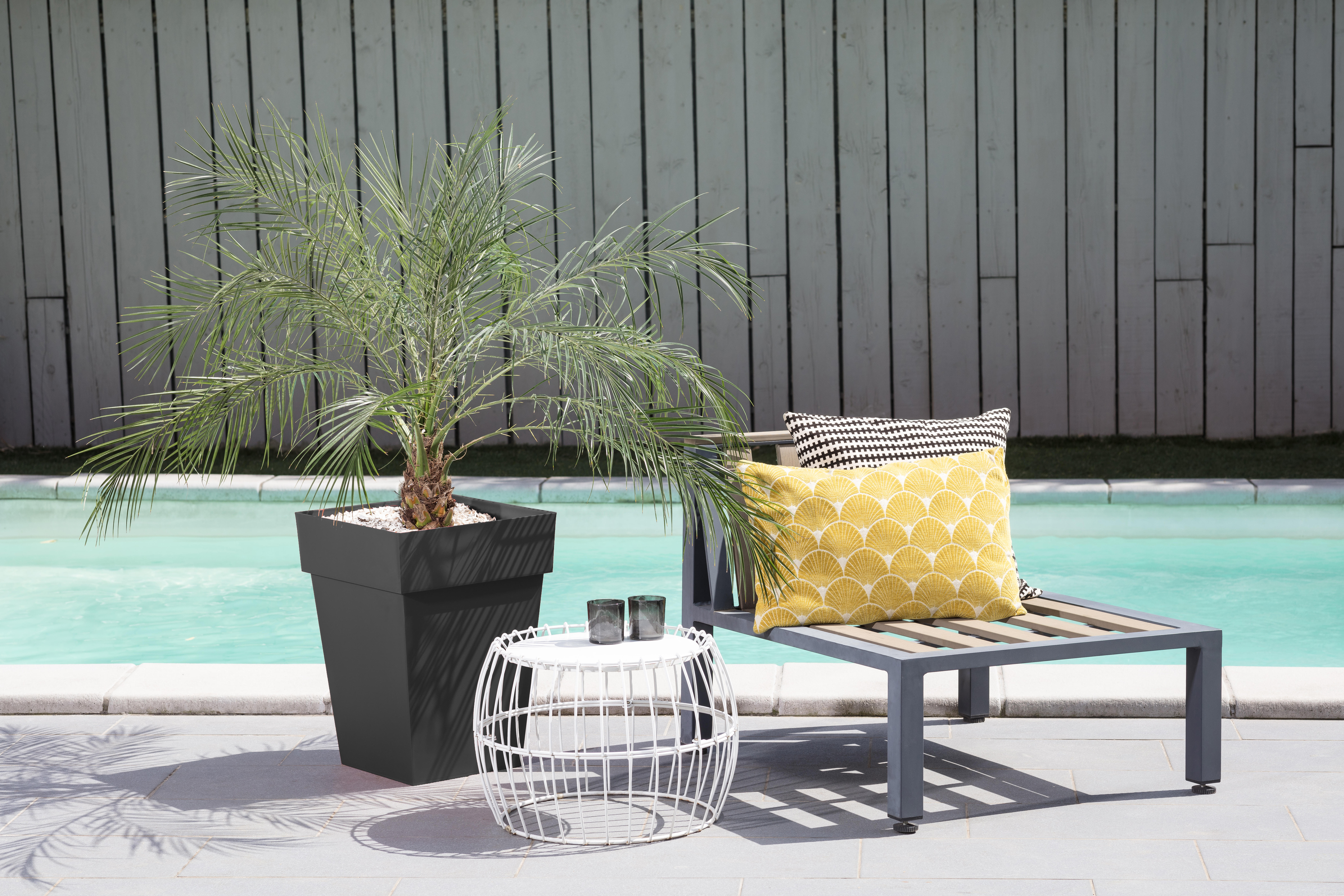 Pot plastique EDA L.39 x l.39 x H.53 cm gris anthracite - 2