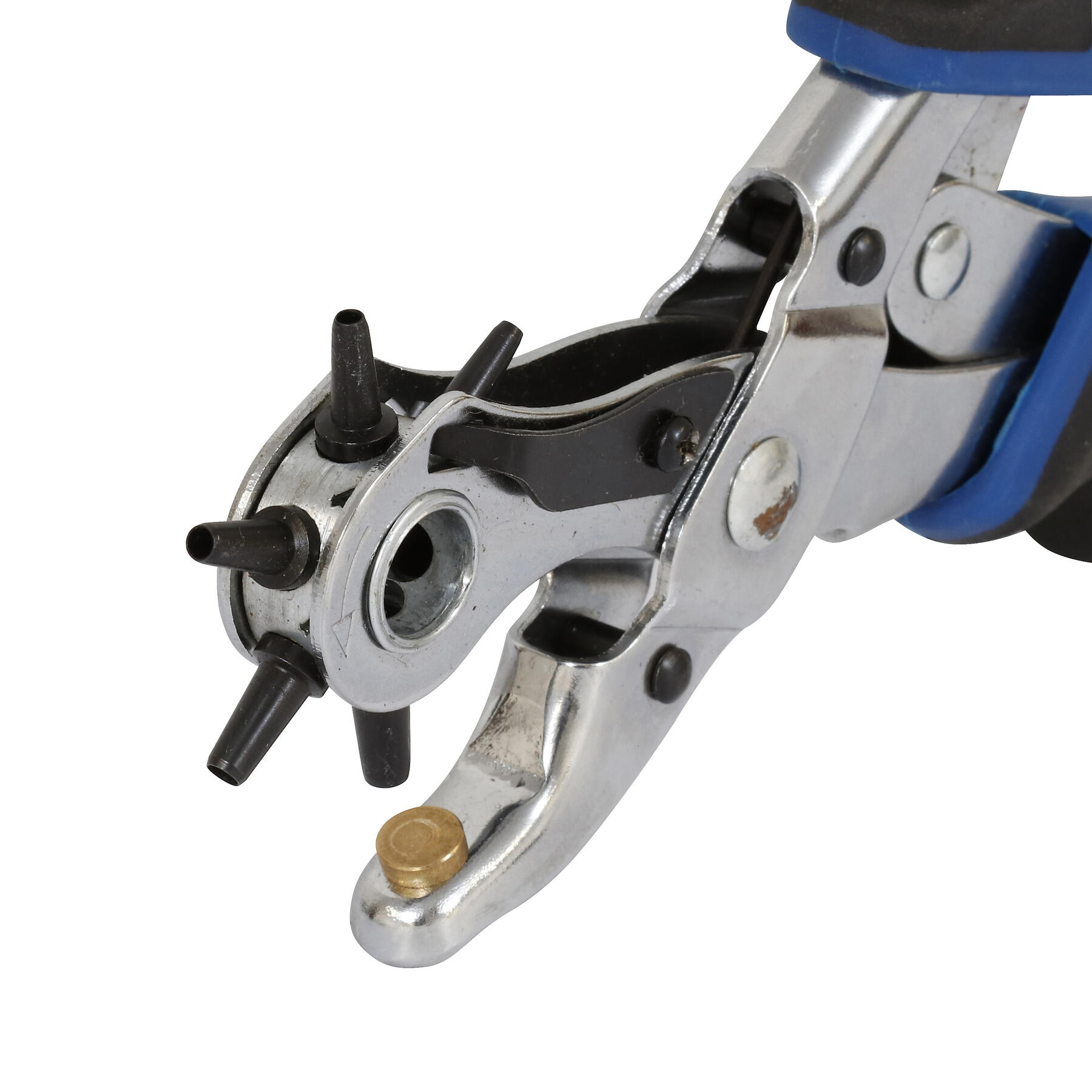 Pince emporte-pièce DEXTER - 2