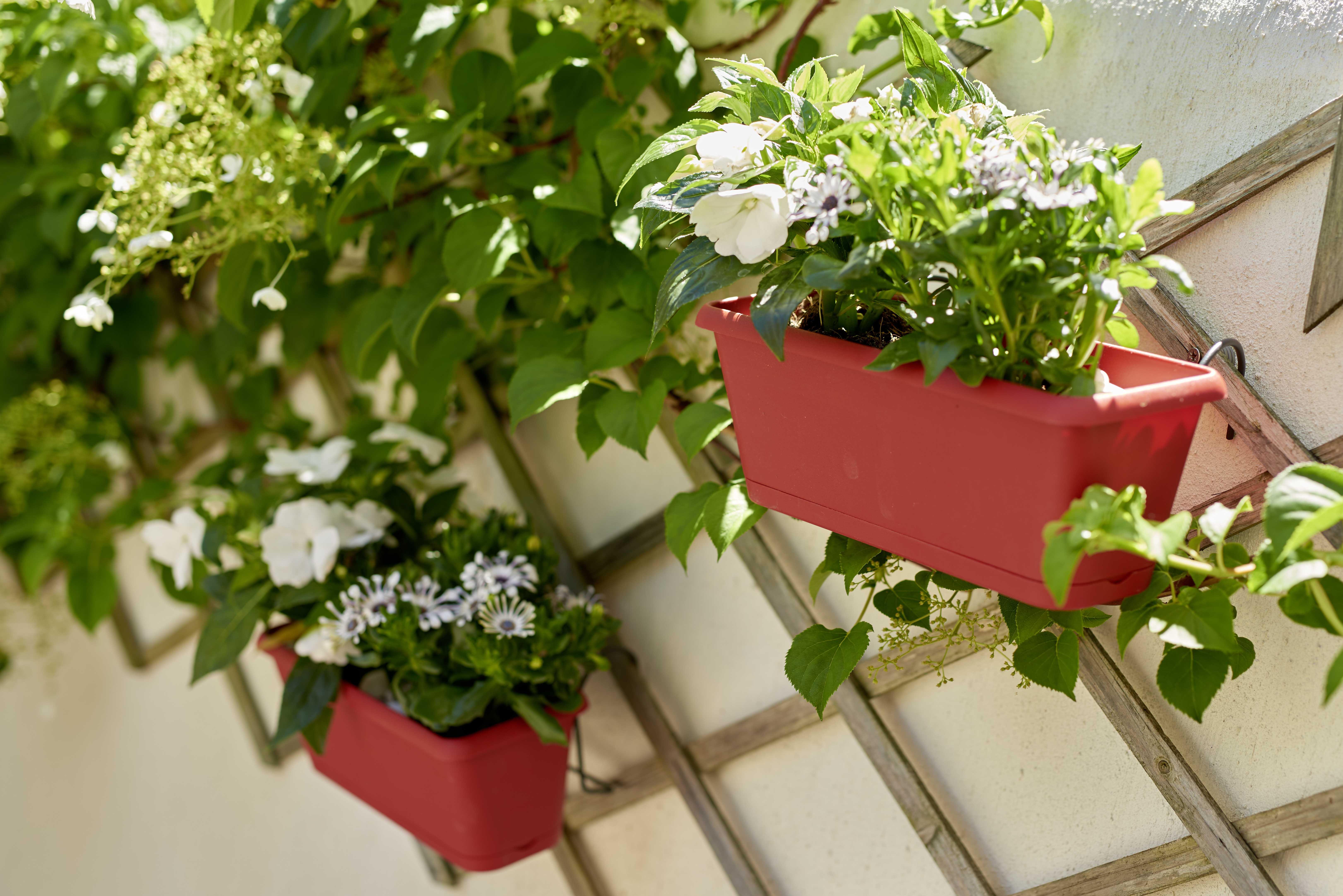 Jardinière polypropylène à réserve d'eau EDA L.30 x l.12 x H.11.4 cm - 2