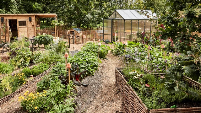 photo d'une allée dans un potager responsable