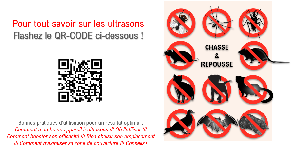 RÉPULSIF RATS, SOURIS, LOIRS, LÉROTS - SPECIAL MURS ET CLOISONS - PROTEGE 60m² - 6