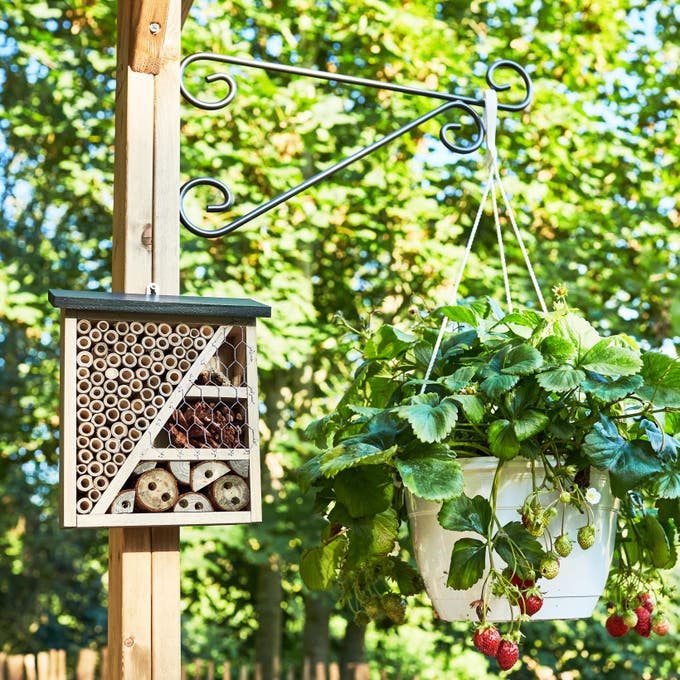 photo d'un hôtel à insectes dans un jardin responsable