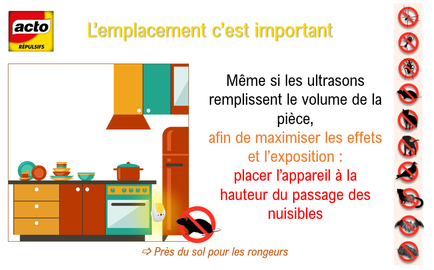 RÉPULSIF RATS, SOURIS, LOIRS, LÉROTS - SPECIAL MURS ET CLOISONS - PROTEGE 60m² - 4