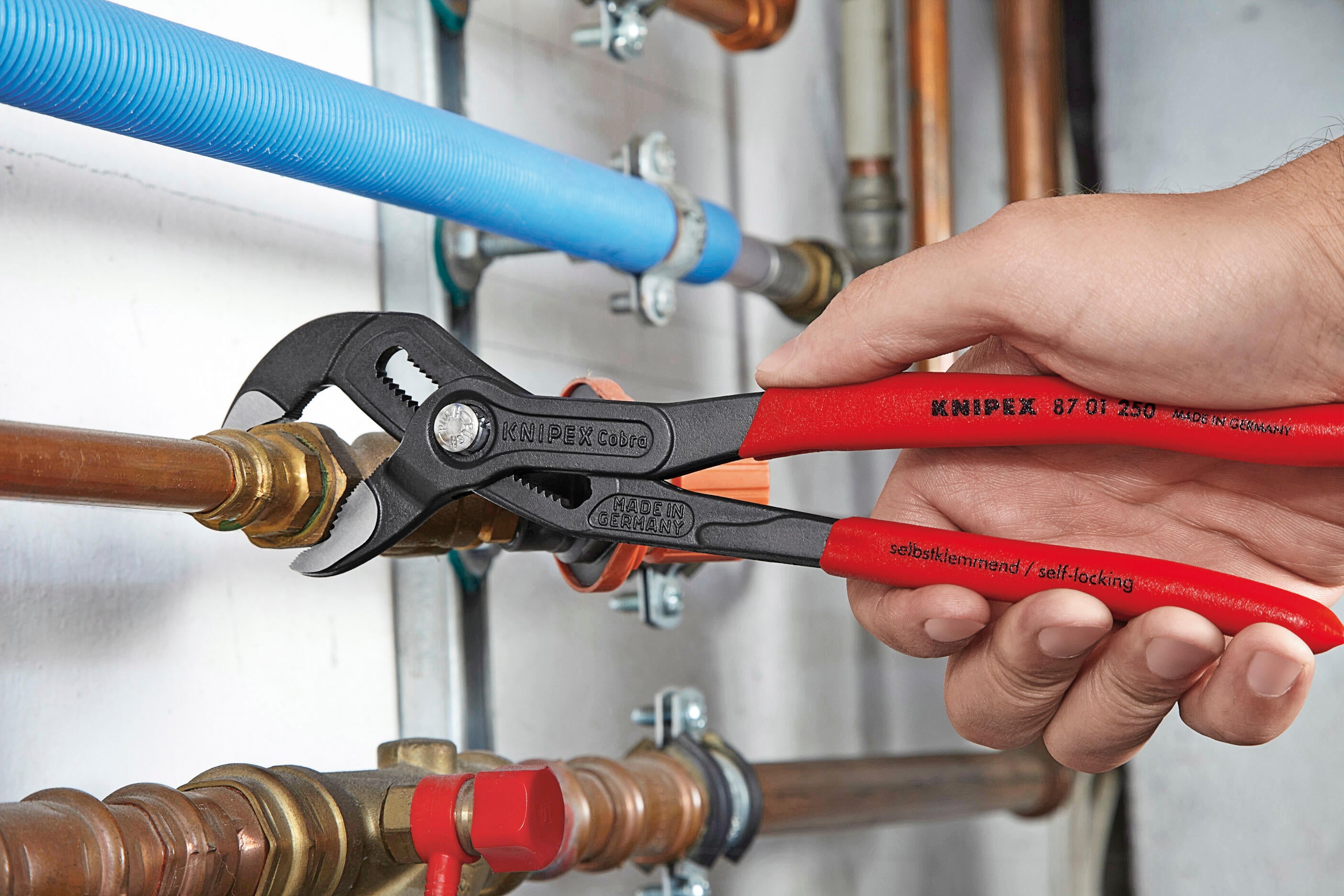 Pince multiprise non isolée KNIPEX 87 01 250 sb capacité 50 mm, L.250 mm - 6