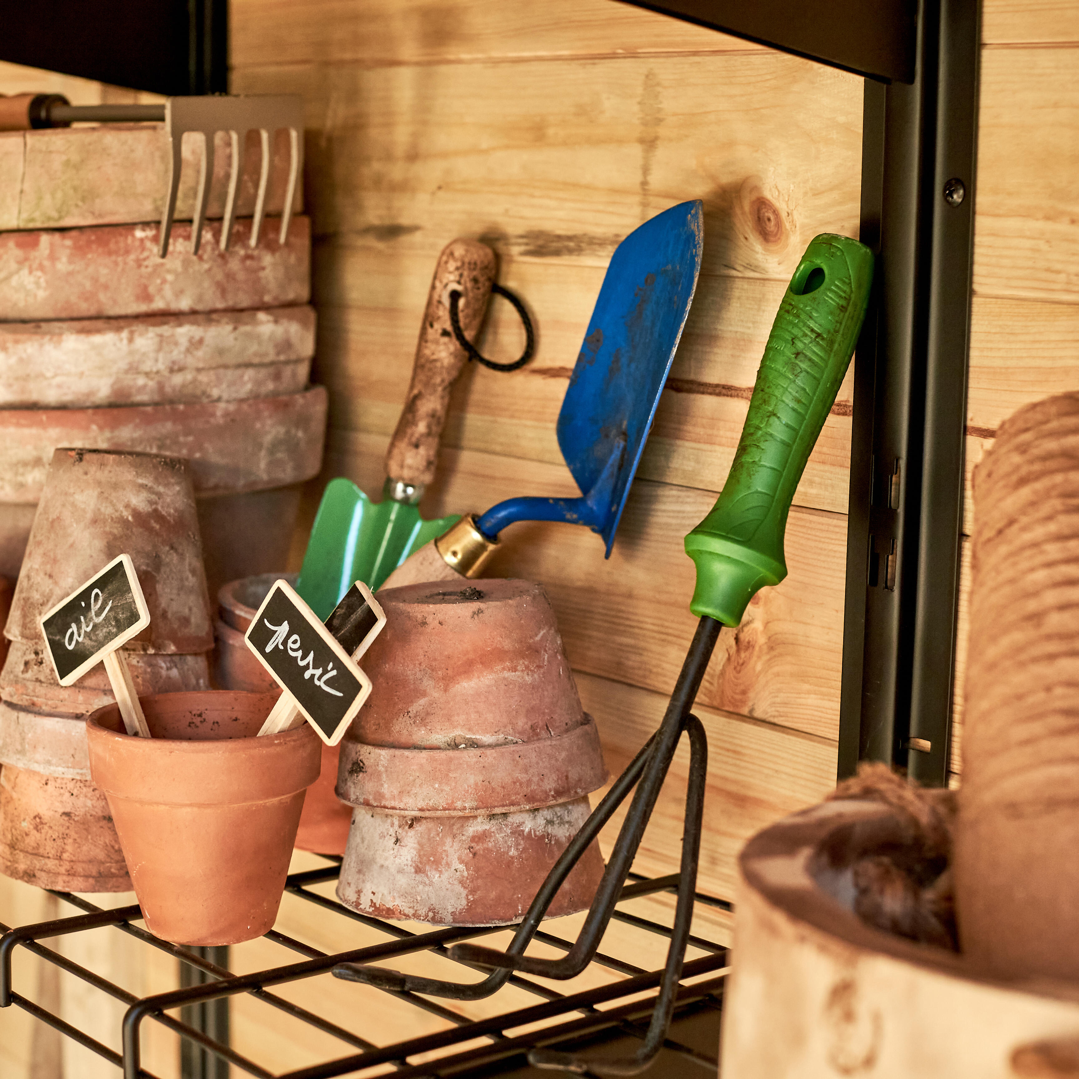 Kit di utensili assortiti GEOLIA multicolore 3 pezzi - 2