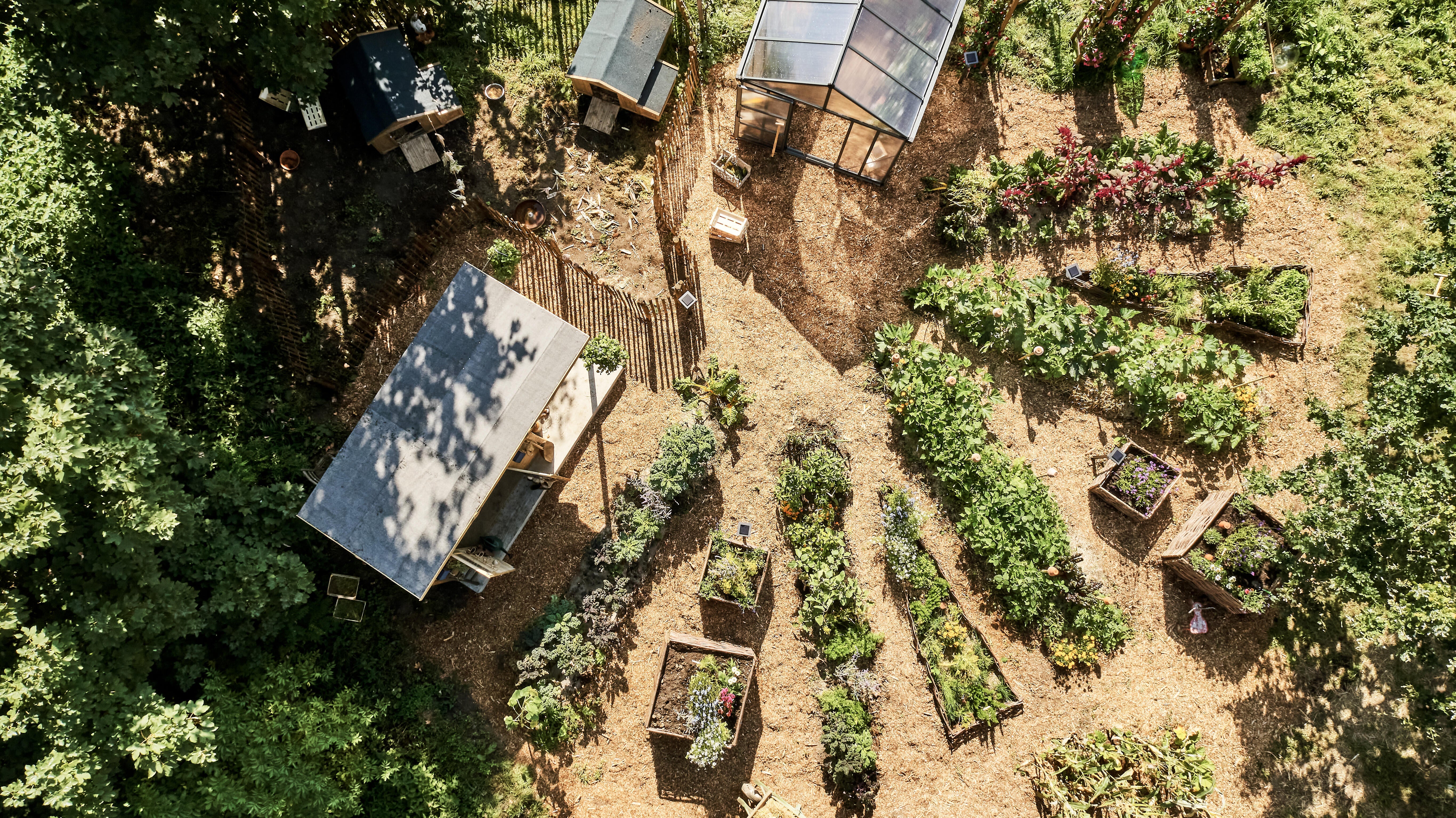 Abri de jardin bois BERTILO Amrum b + Ep.14 mm, 6.95 m² - 6