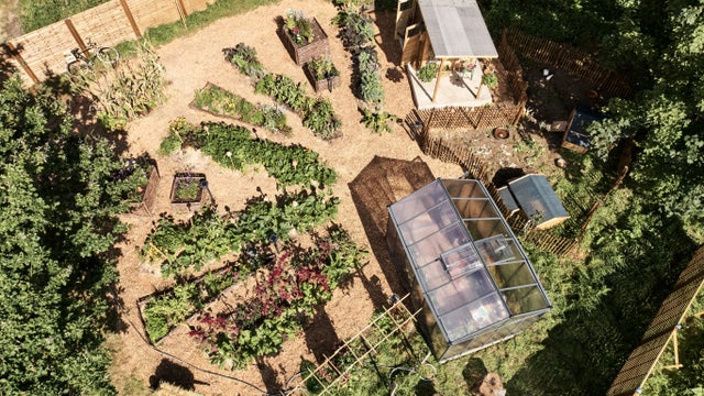 photo d'un potager vue du ciel