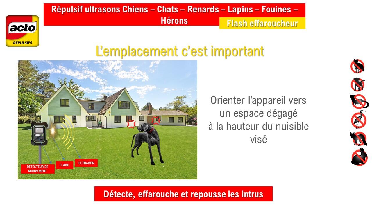 Répulsif ultrasons à piles antichien, chat, renards, lapins, fouines et Hérons - 5