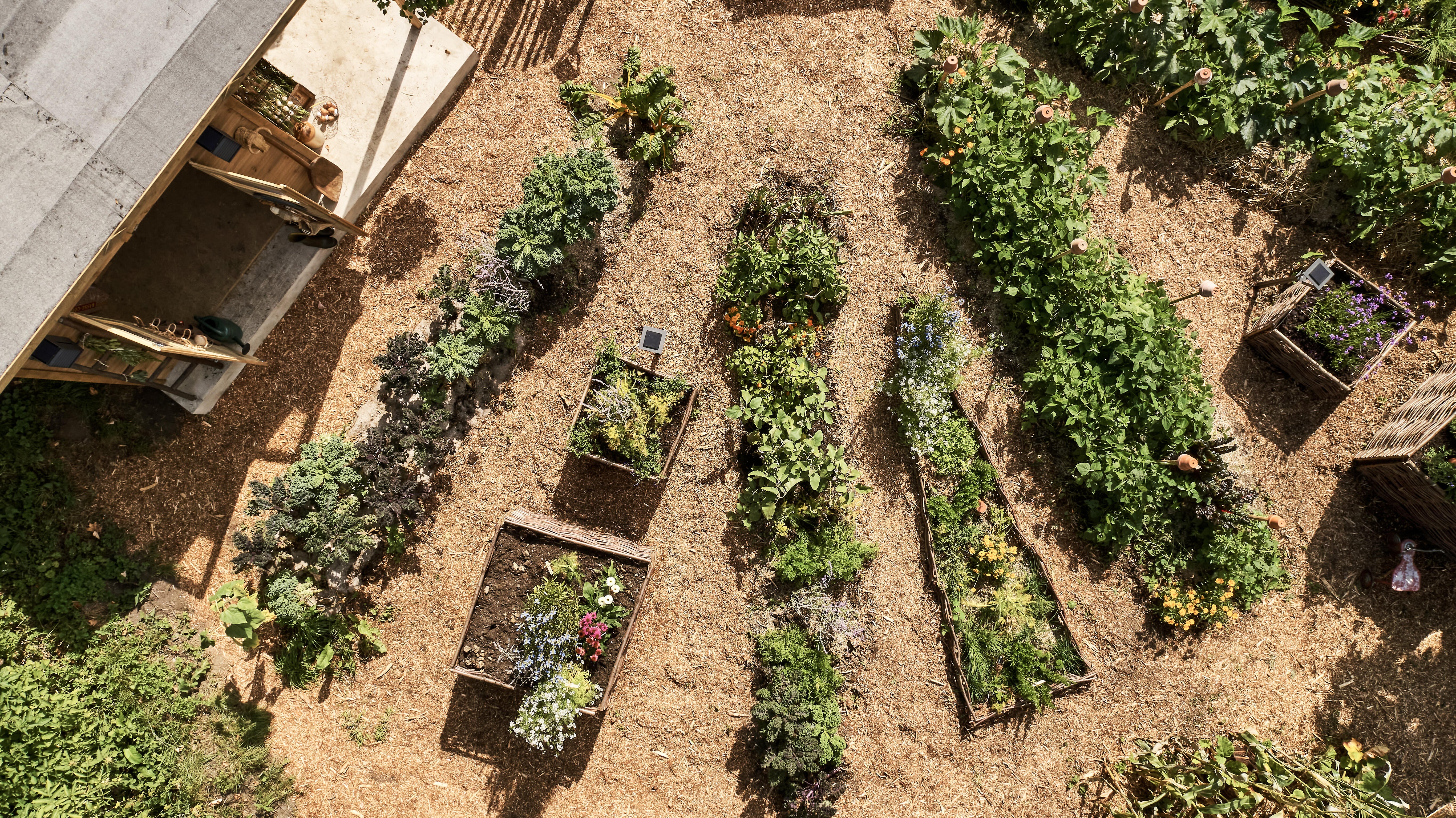 Abri de jardin bois BERTILO Amrum b + Ep.14 mm, 6.95 m² - 4