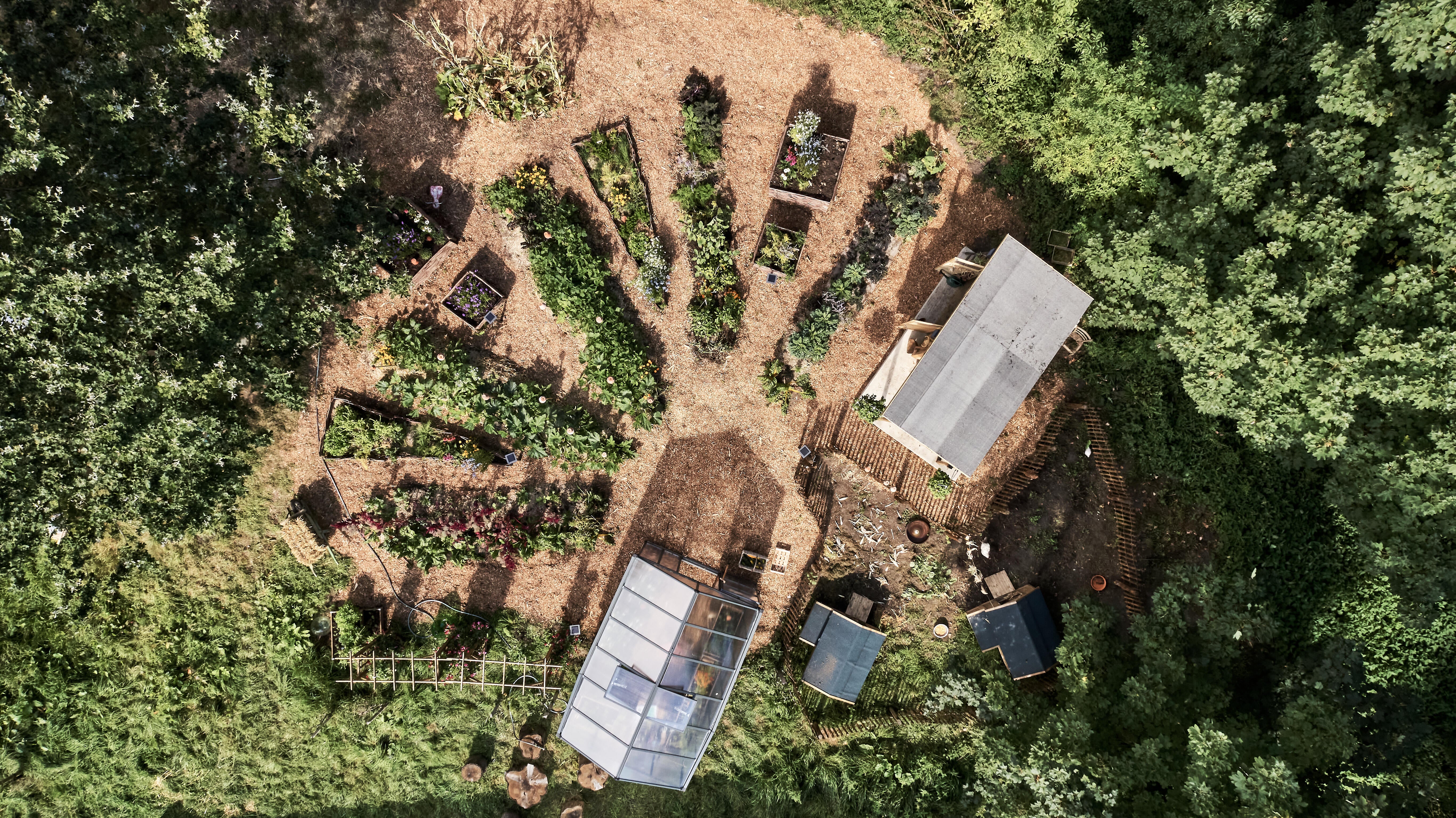 Abri de jardin bois BERTILO Amrum b + Ep.14 mm, 6.95 m² - 3