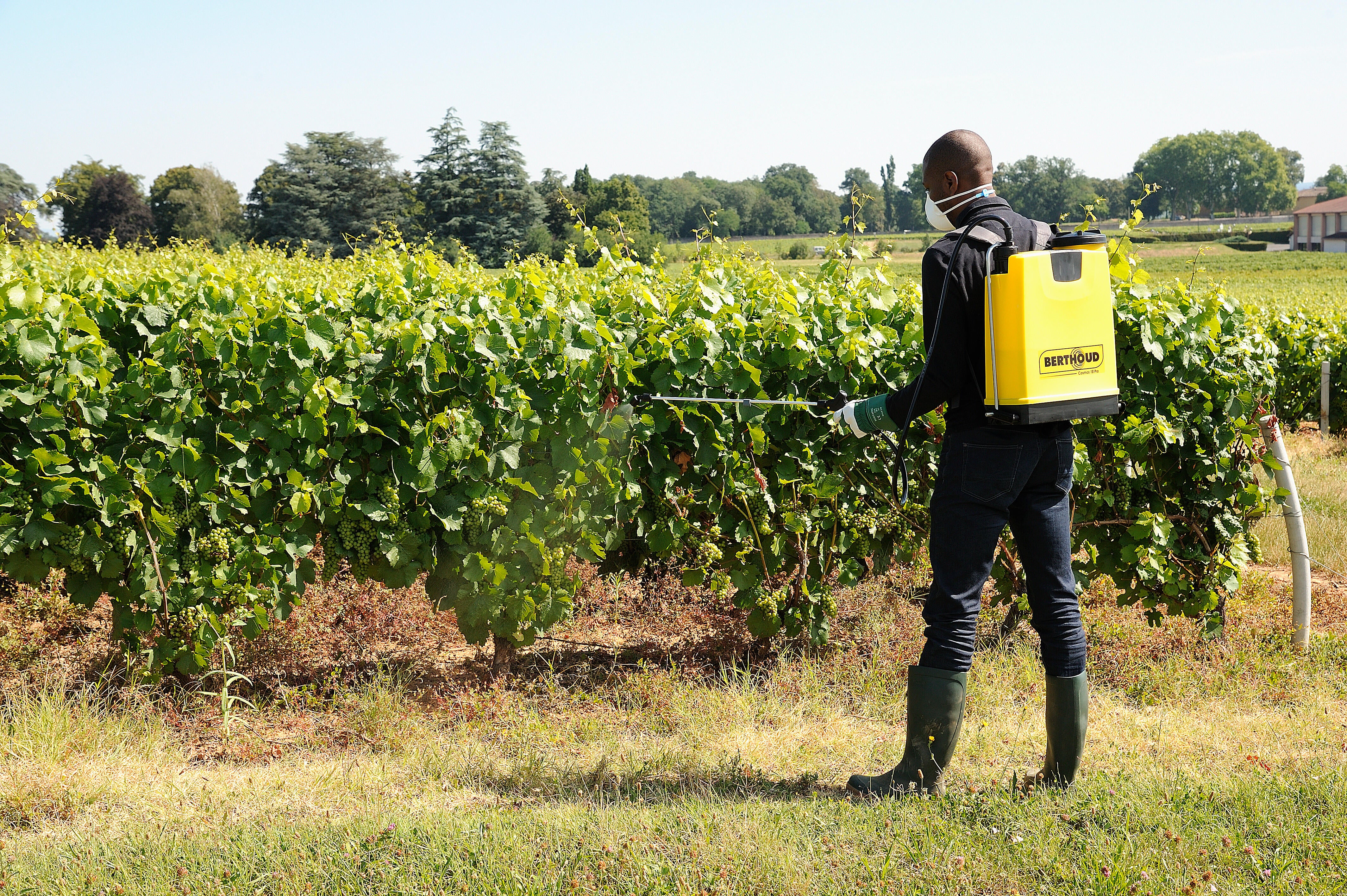 Pulvérisateur à dos Cosmos 18L Pro Berthoud - 6