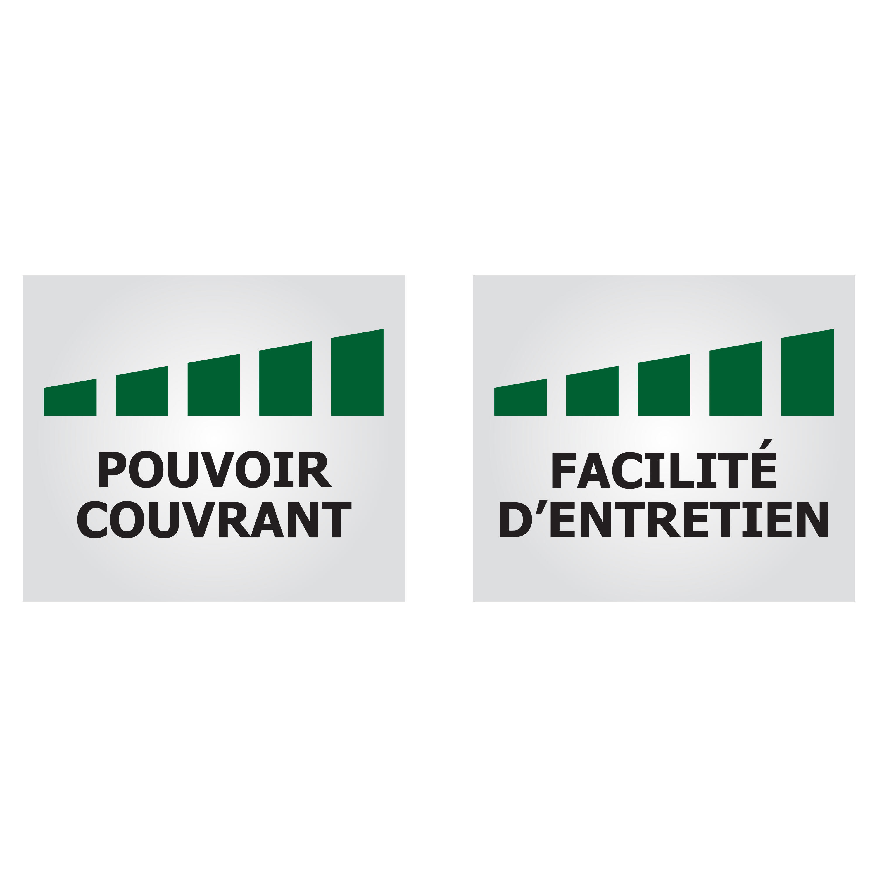 Peinture mur, plafond, boiserie blanc satin RIPOLIN Xpro3 10L+2L gratuit - 5