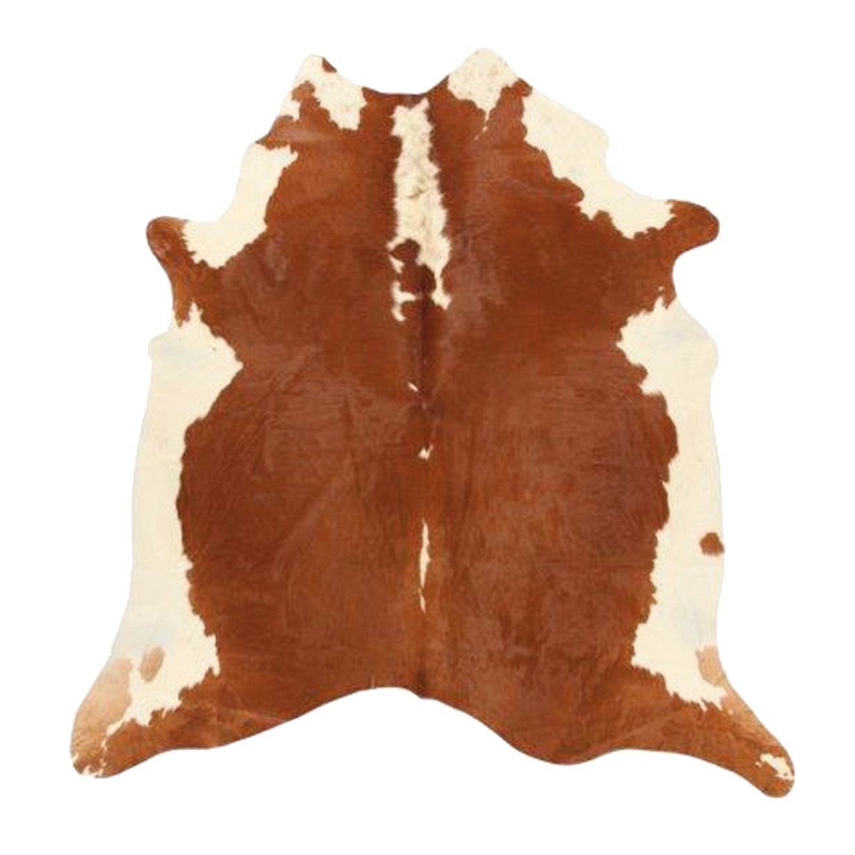 Tappeto Leather cow in cuoio, L 240 x L 170 cm, marrone - 2