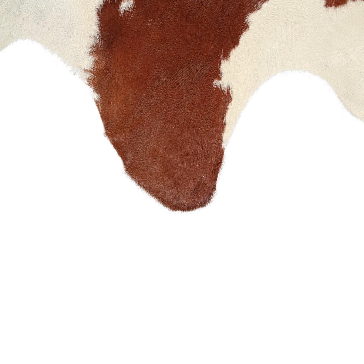 Tappeto Leather cow in cuoio, L 240 x L 170 cm, marrone - 4