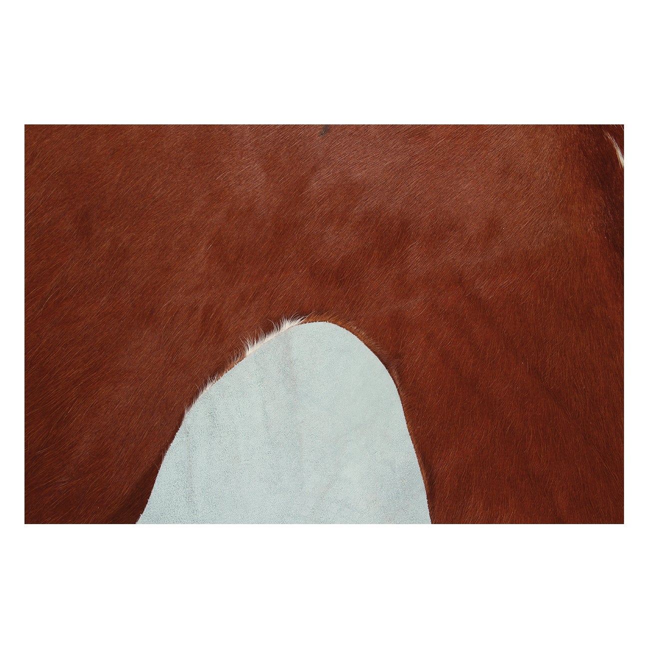 Tappeto Leather cow in cuoio, L 240 x L 170 cm, marrone - 3