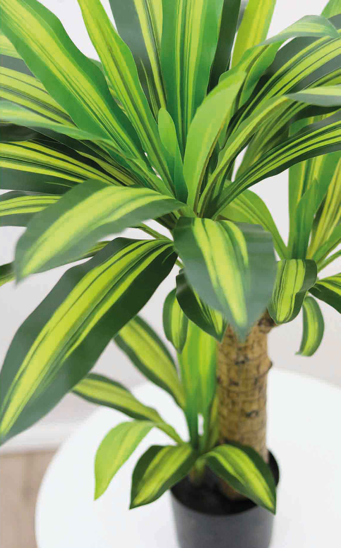 Plante naturel dracena 58 feuilles effet naturel - 2