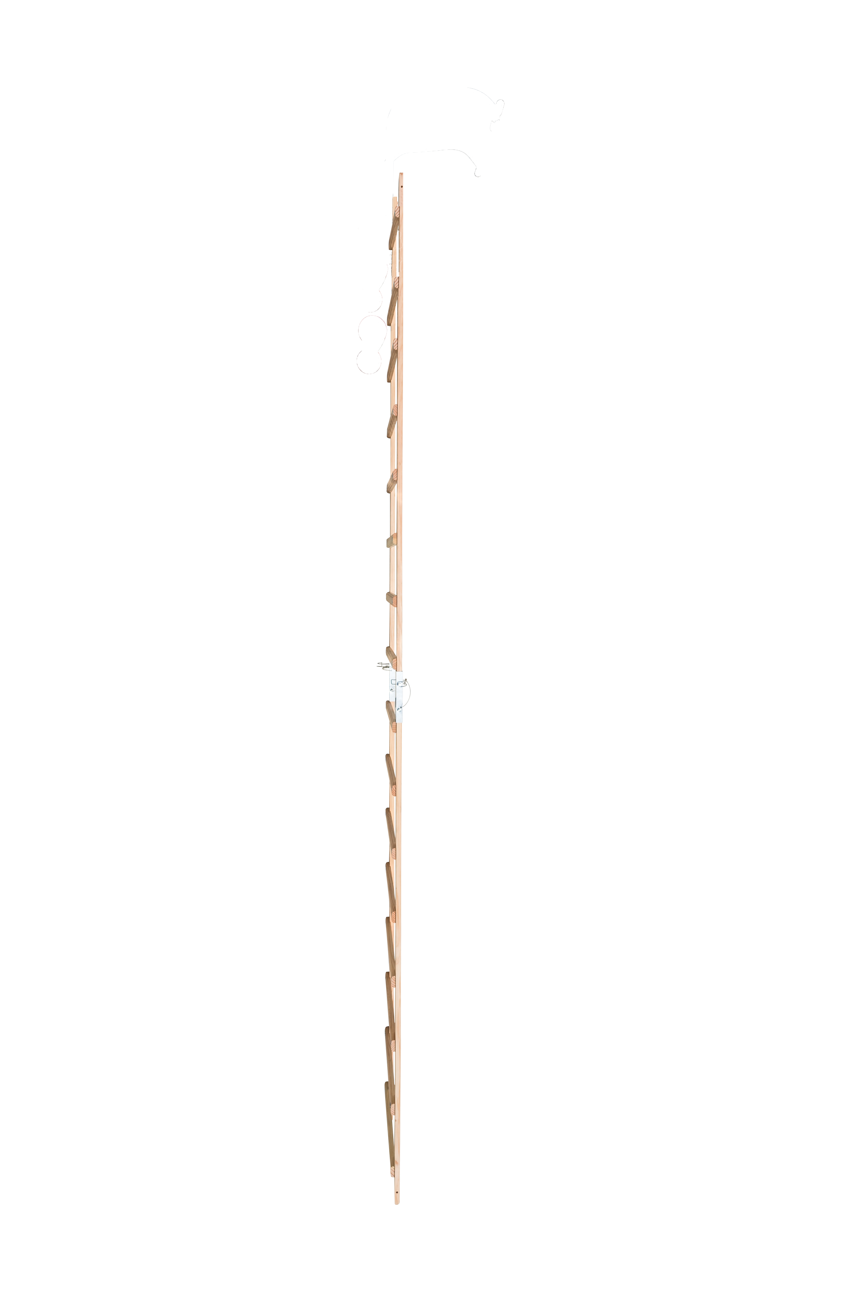 Echelle de toit bois HAILO 2X8 échelons H.4 m - 2