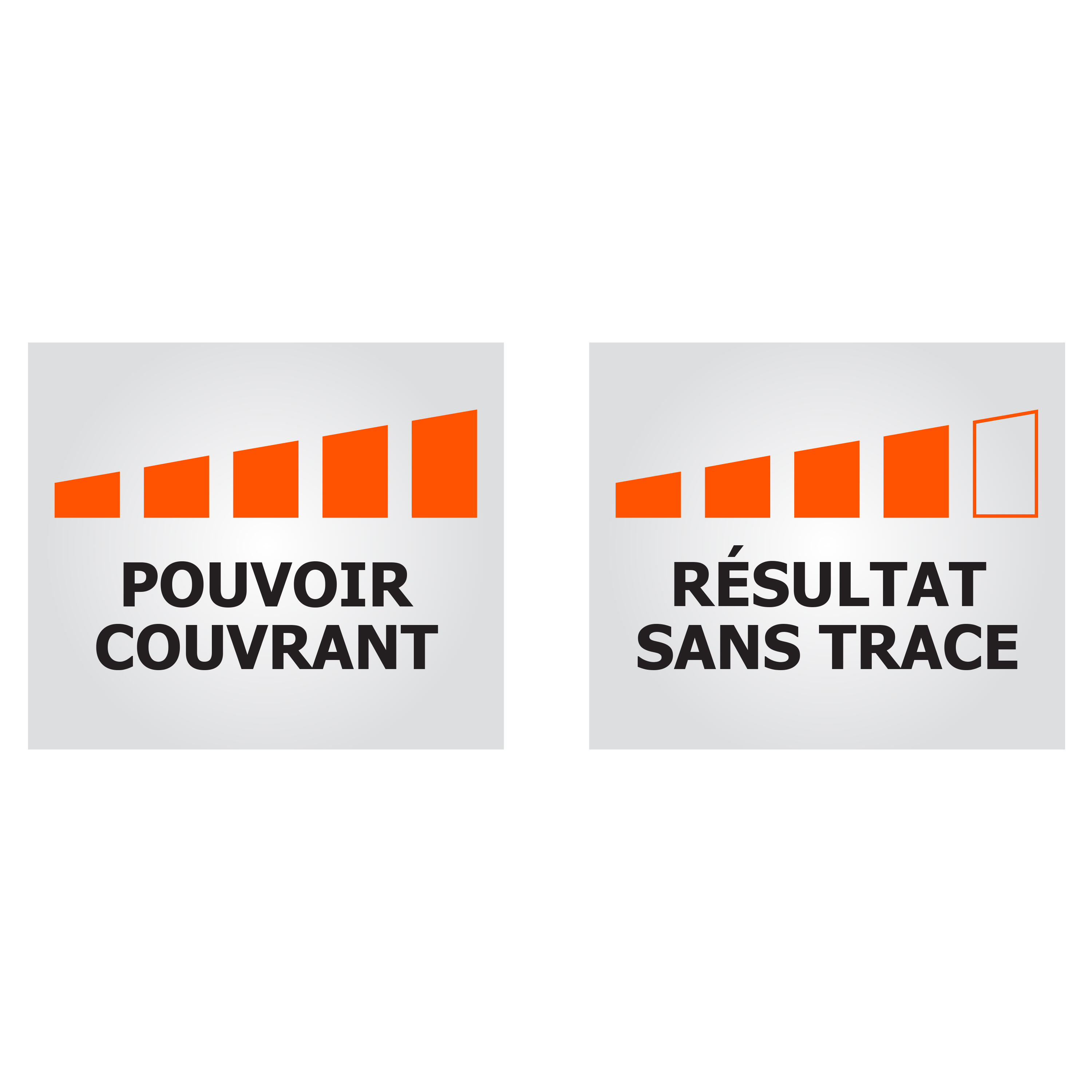 Peinture mur, plafond blanc mat RIPOLIN Tachés et salis 2.5L - 2