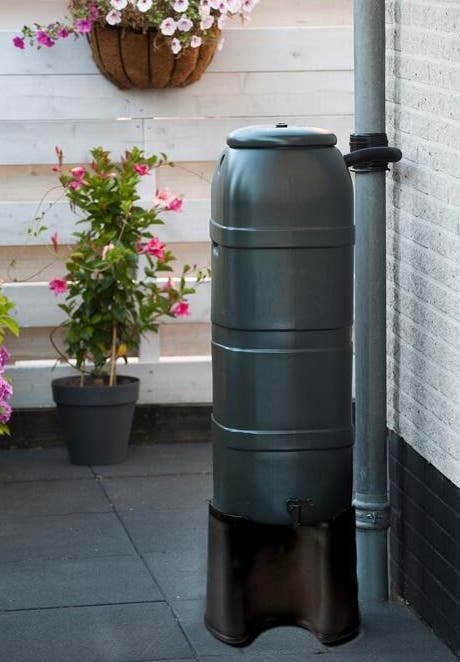 Sécheresse : comment choisir son récupérateur d'eau de pluie ?