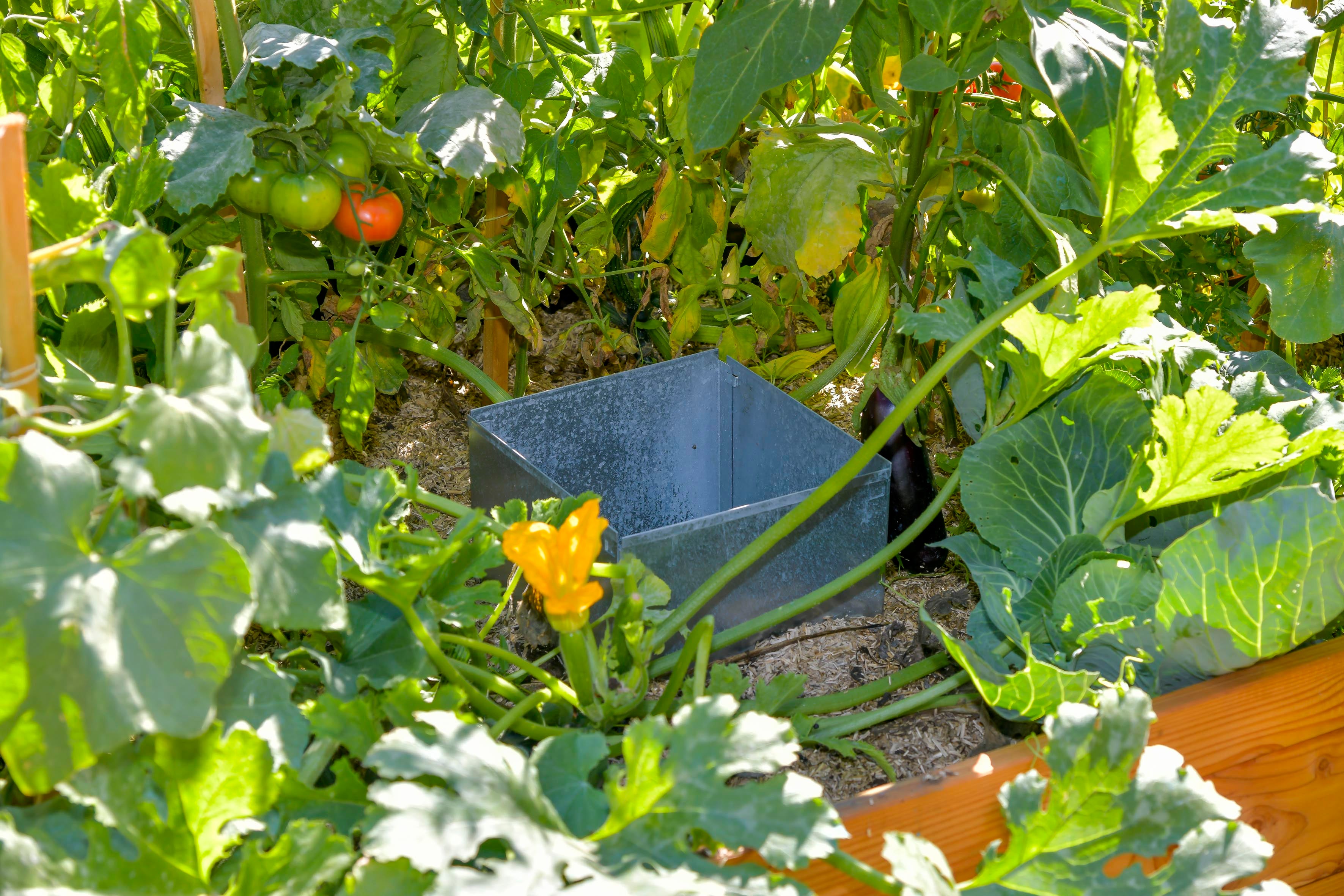 Potager sur pied bois l.115 x H.48 cm MON PETIT POTAGER - 2