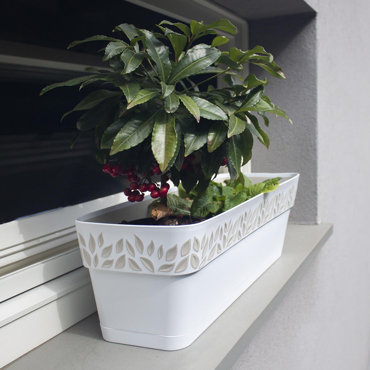 Vaso Da Fiori Con Riserva D'acqua VENEZRISW80/G, 24 Lt Tortora Rettangolare L 78 X H 22 Cm 82393028
