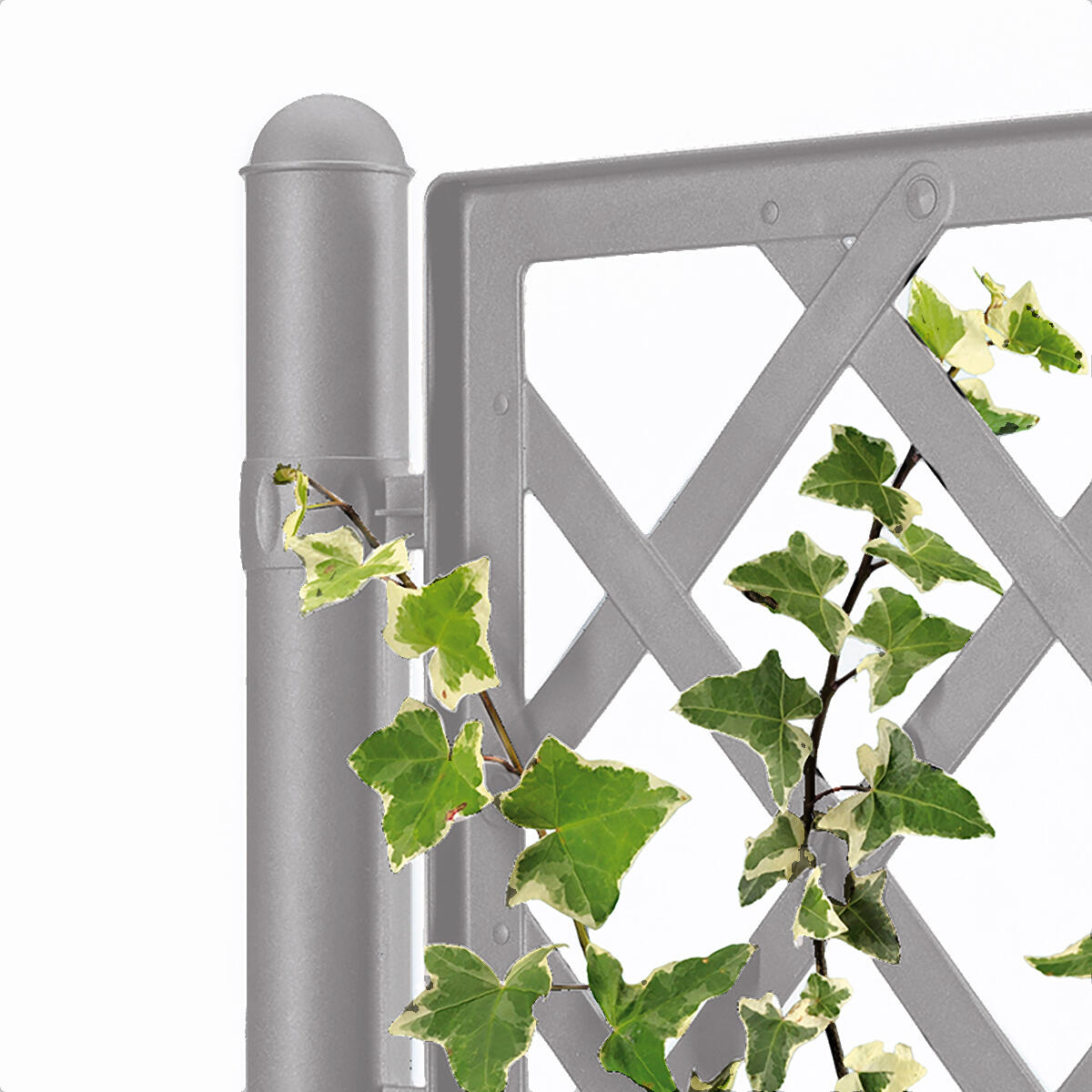 Fioriera con grigliato Italia STEFANPLAST in polipropilene grigio H 142 x L 43 x P 43 cm - 6