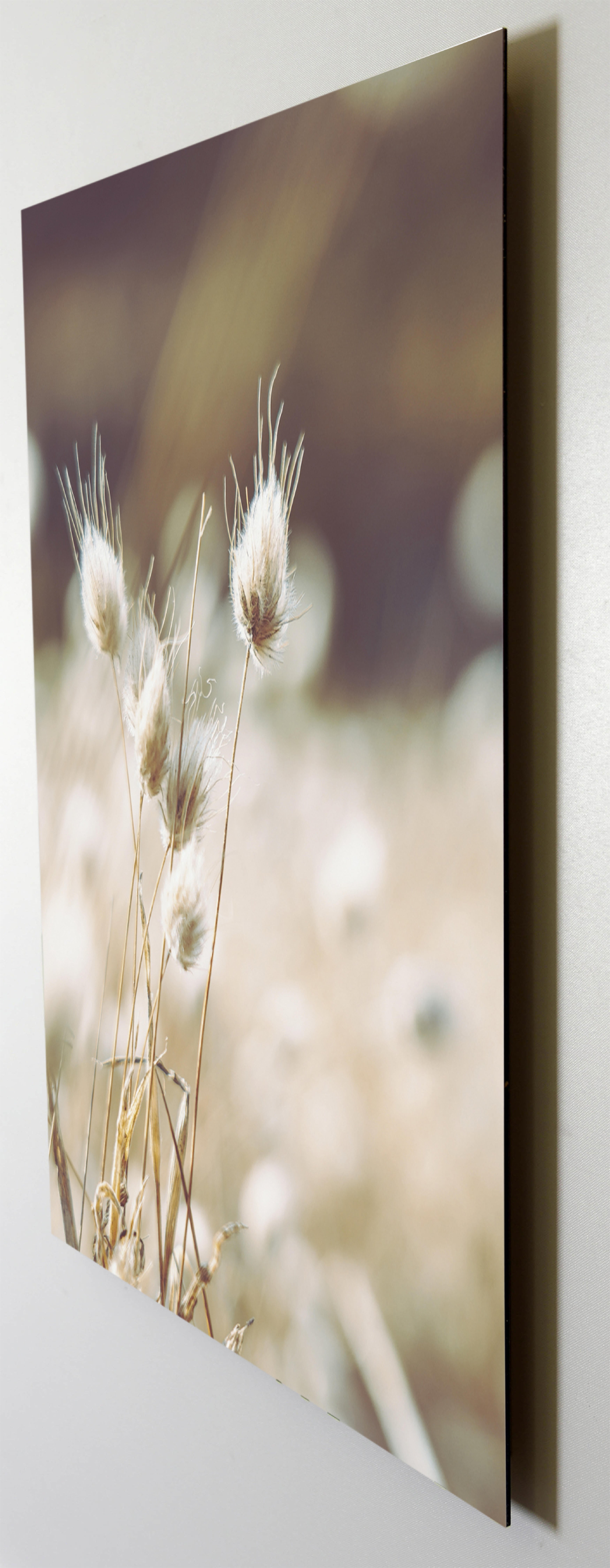 Image encadrée Herbes des champs 1 l.61 x H.91 cm - 3