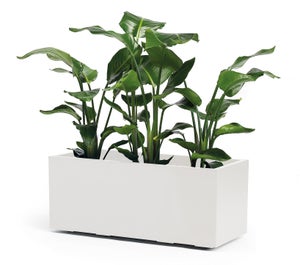 Fioriera In Ceramica Bianca Ceramica Grande Rotonda Moderna - Foto 4