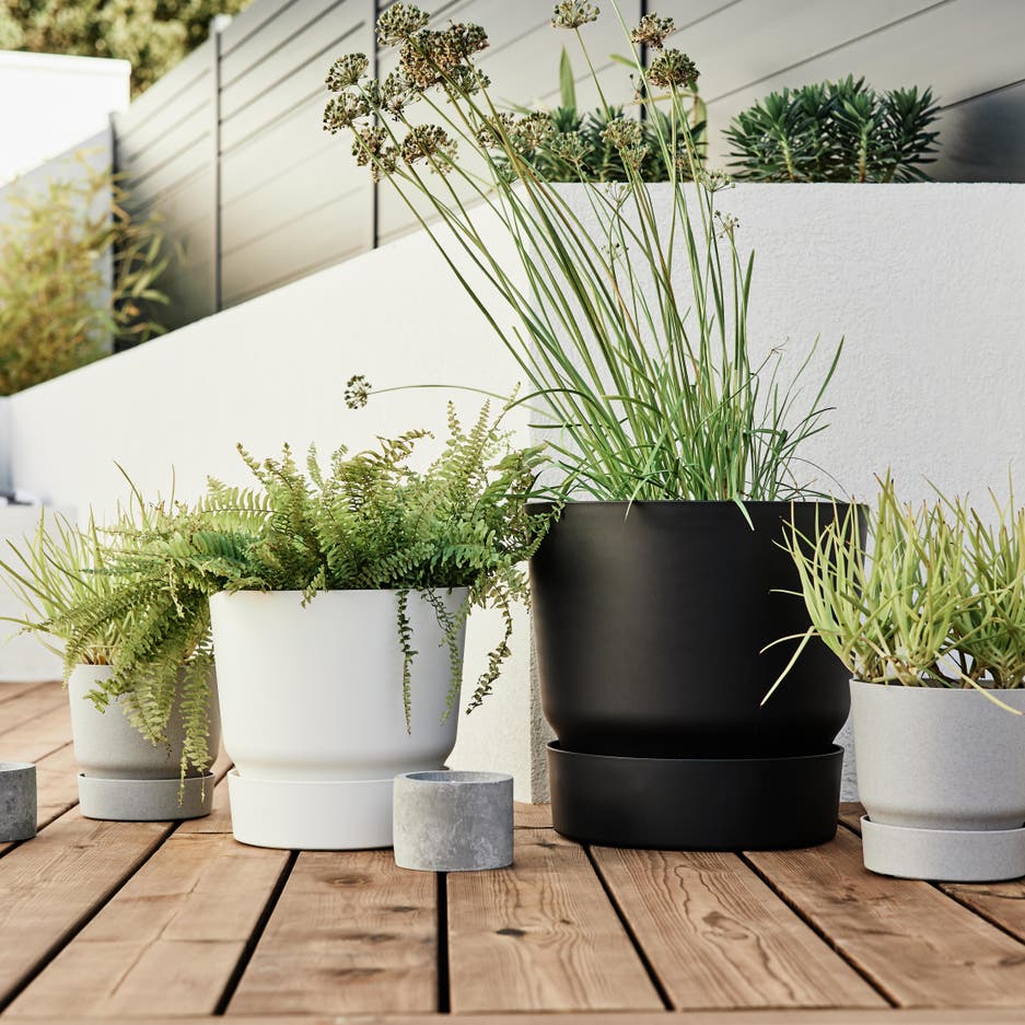 photo de pots de fleur blanc et noir