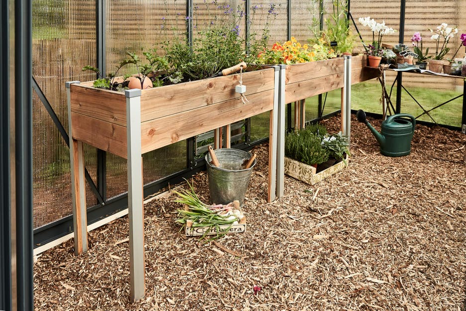 photo de potagers sur pieds