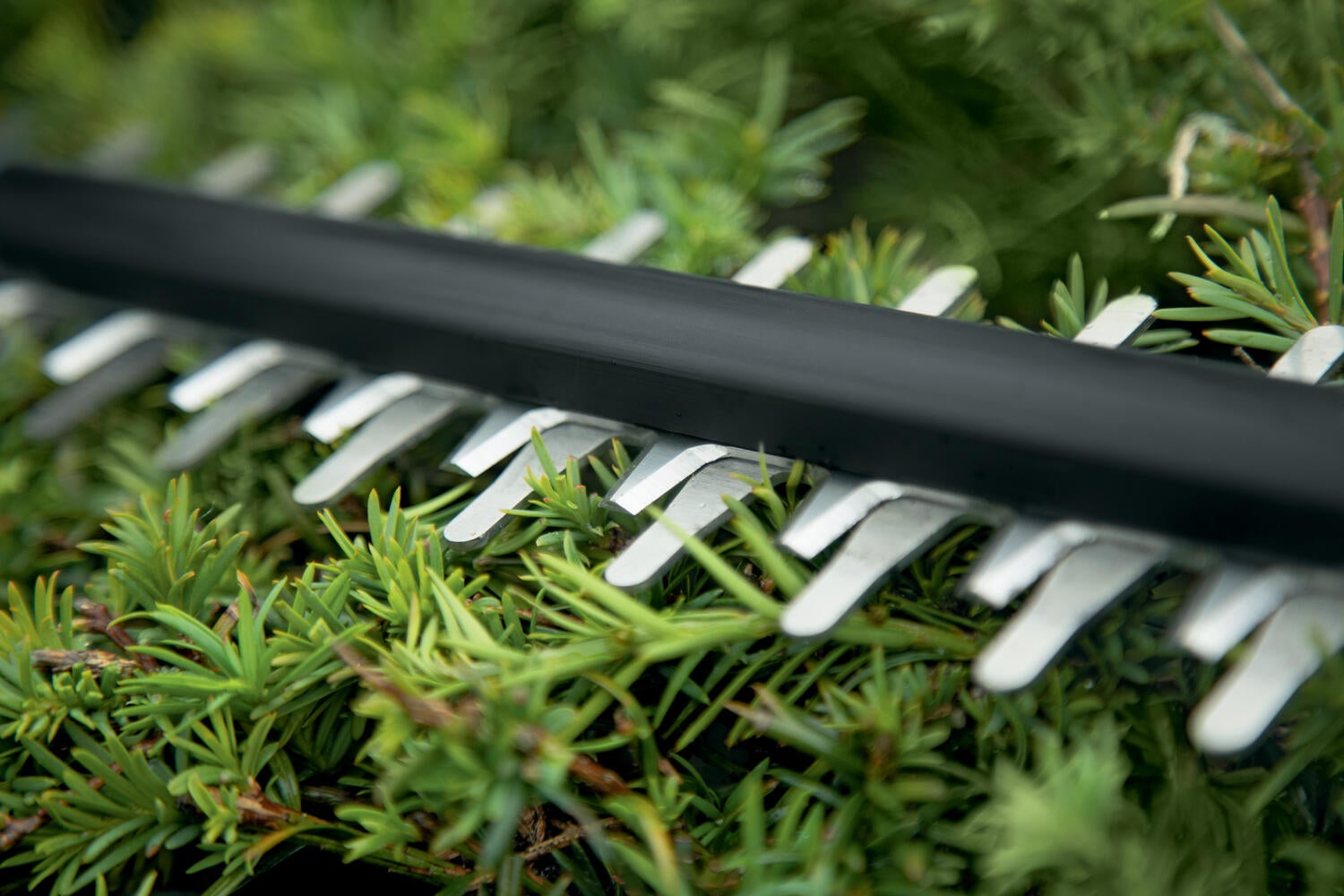 Taille-haie sur batterie BOSCH Universalhedgecut 18-55 2 batt 18 V L.55 cm - 3