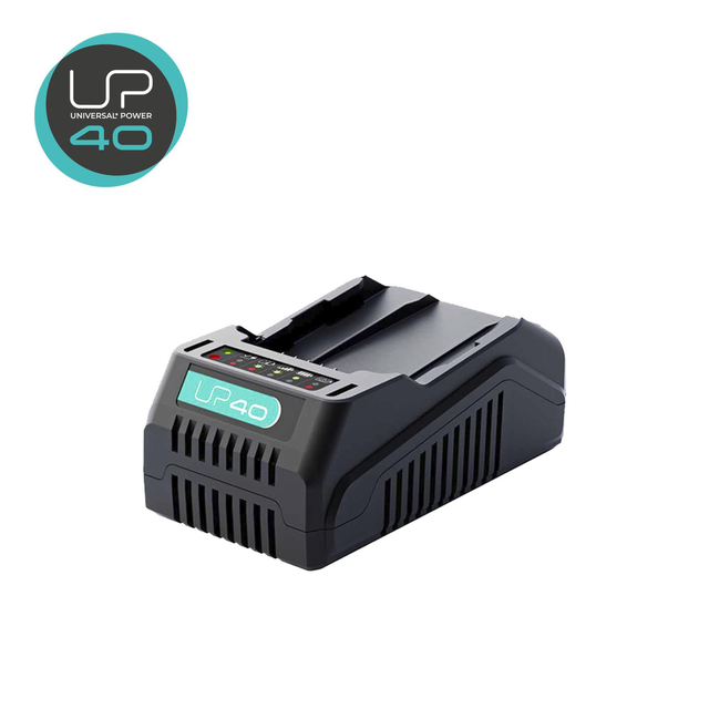 Chargeur standard lithium-ion LEXMAN UP40, 36V, pour batterie STERWINS et DEXTER