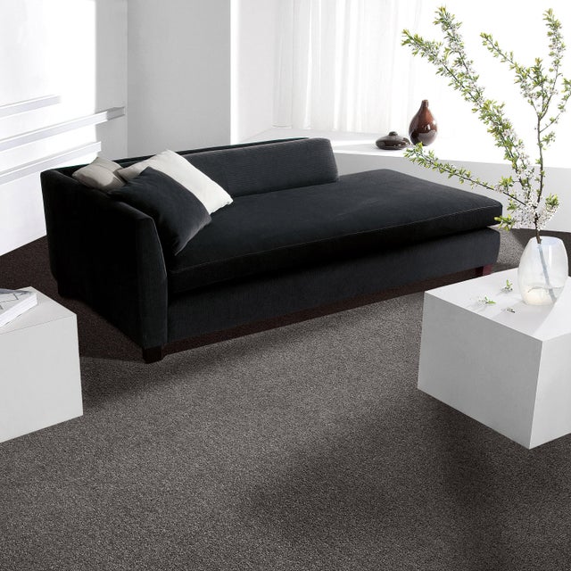 Moquette velours uni London taupe foncé, London, rouleau l.4 m