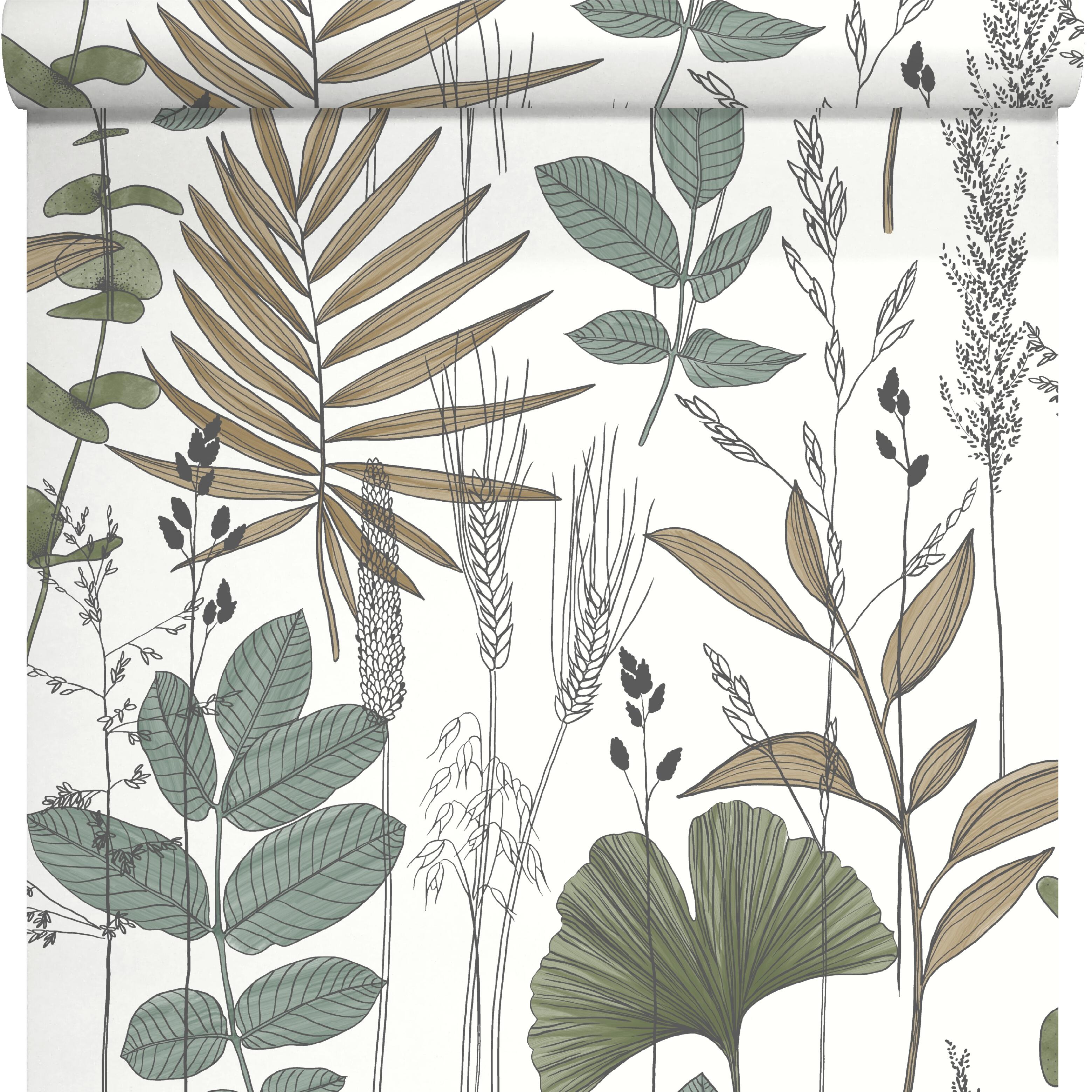 Papier peint intissé Feuille Graminé vert - 3