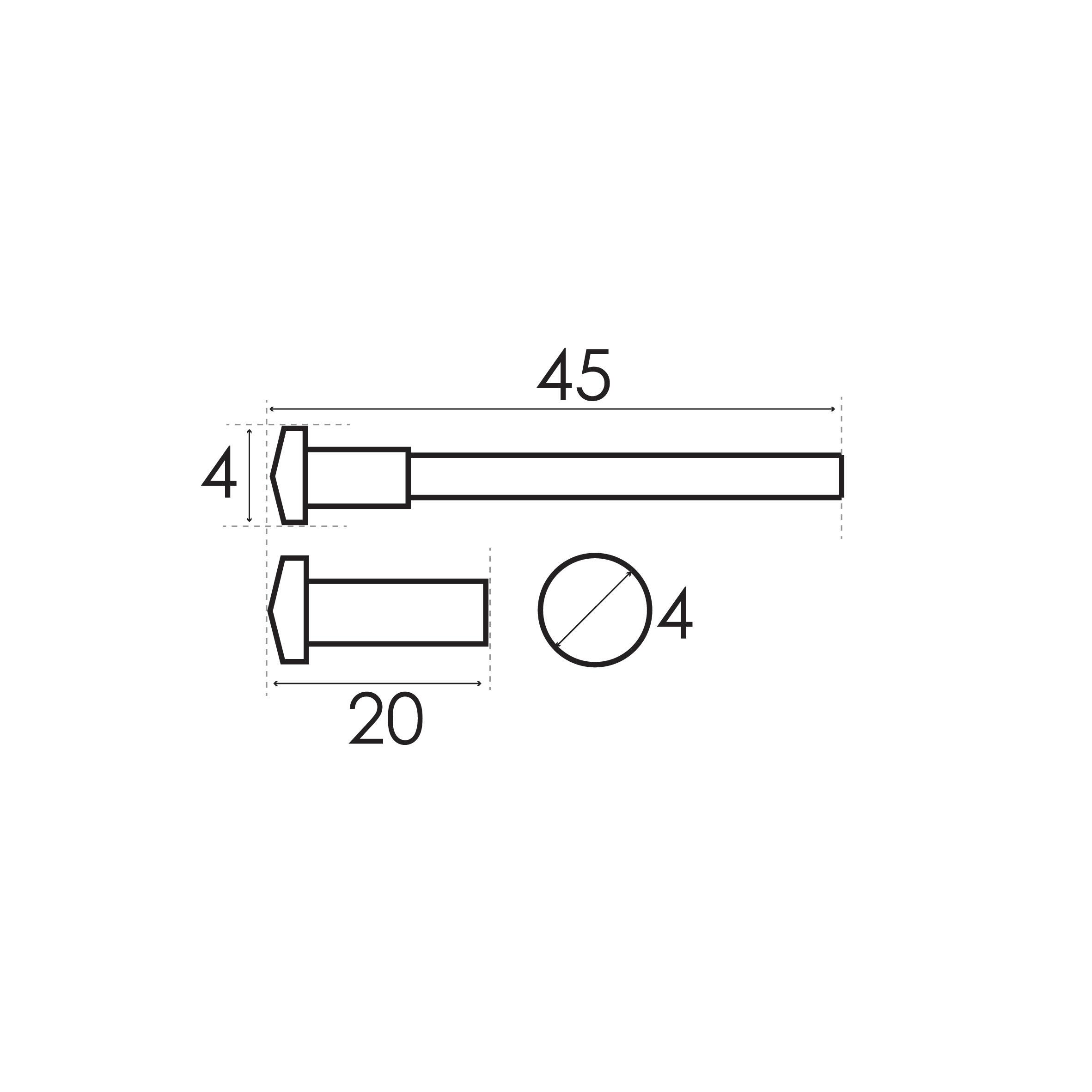 Lot de 2 vis acier nickelé, L.4.5 x l.0.7 - 2