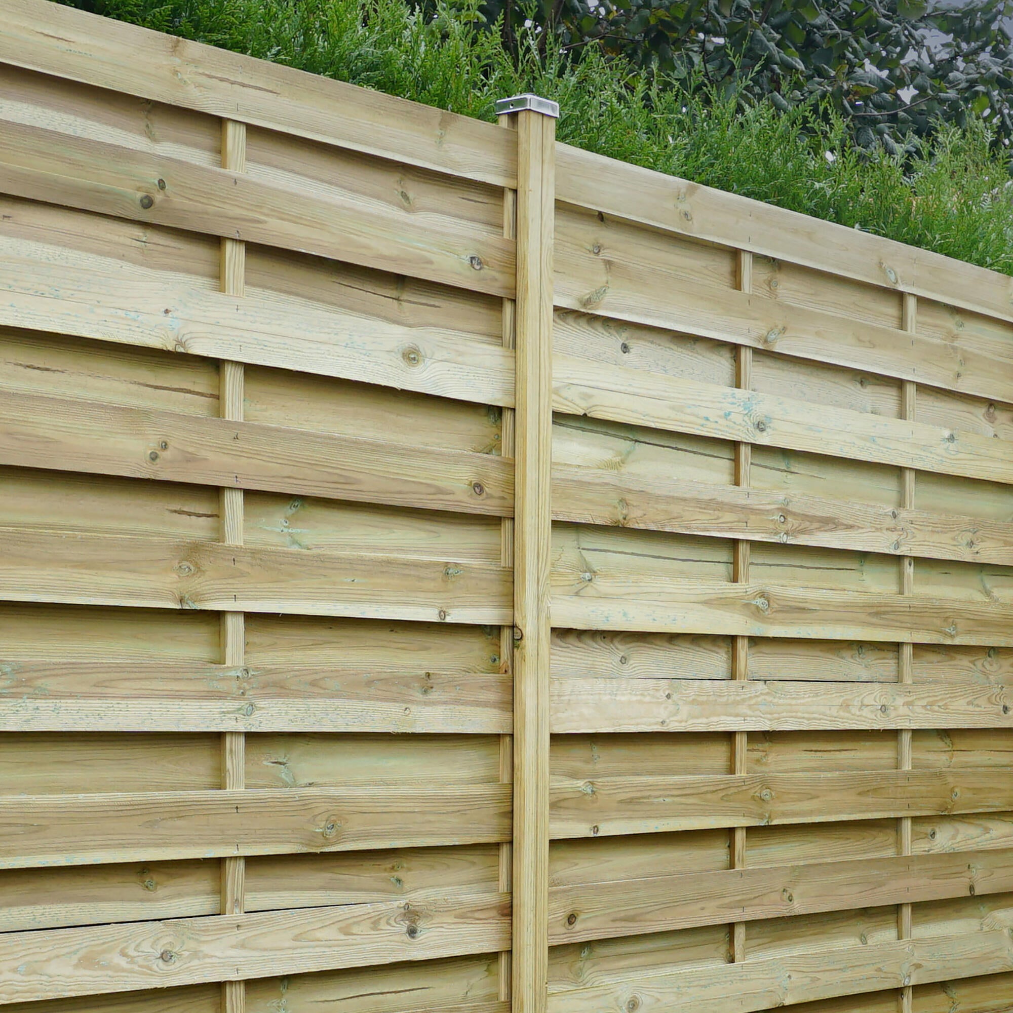 Palo a h in legno di pino silvestre CERLAND FOREST naturale L 7 x H 220 x Sp 7 cm - 5